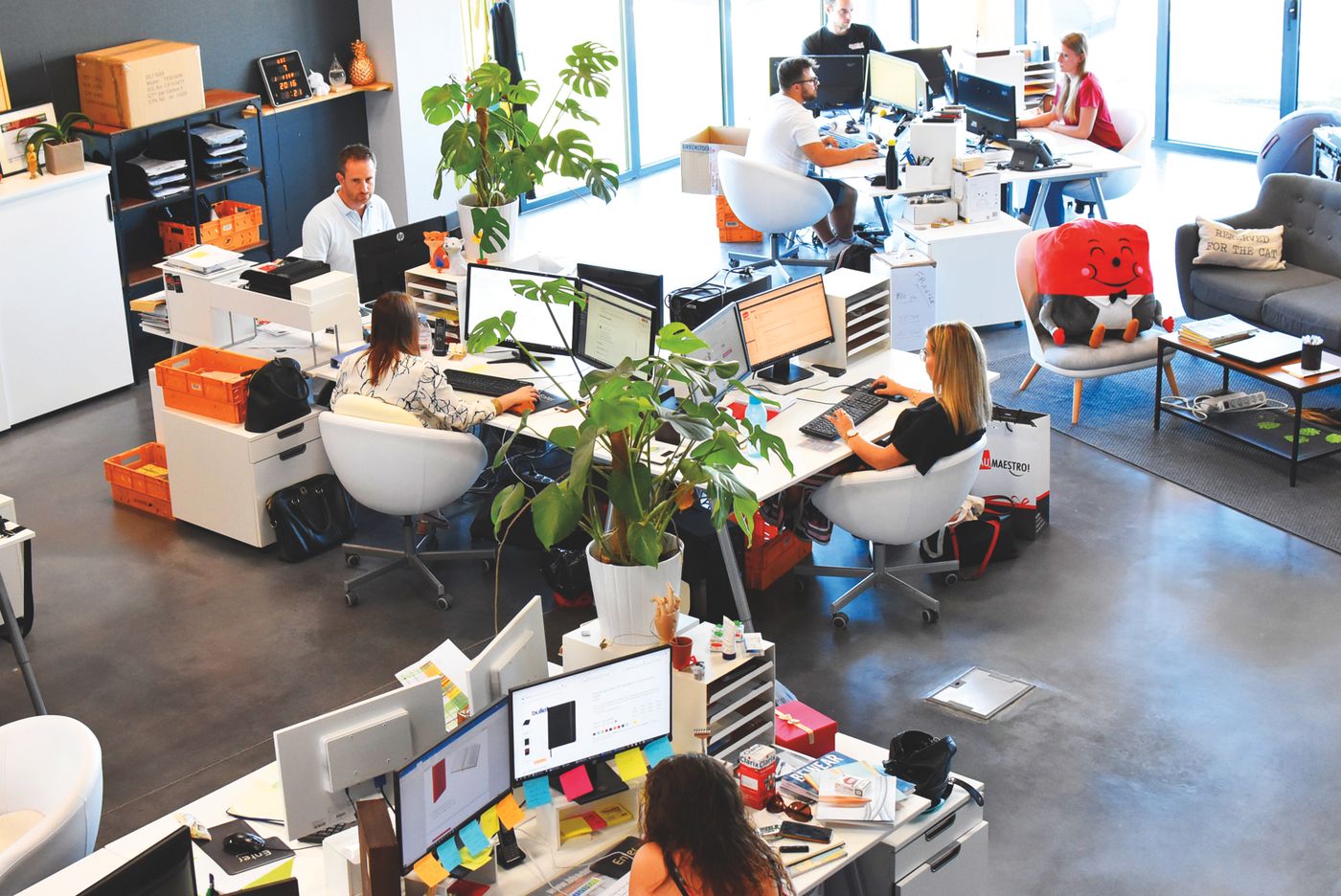 Growing product team working across a busy office