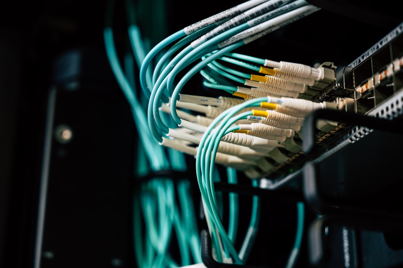 Fibre connections plugged into a network switch in a data centre