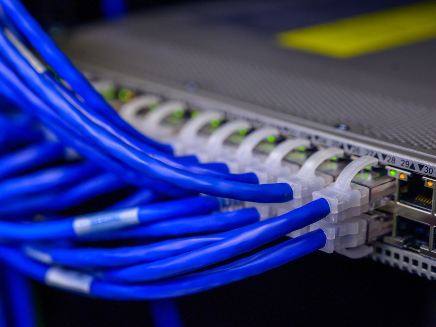 Blue network cables plugged into a switch